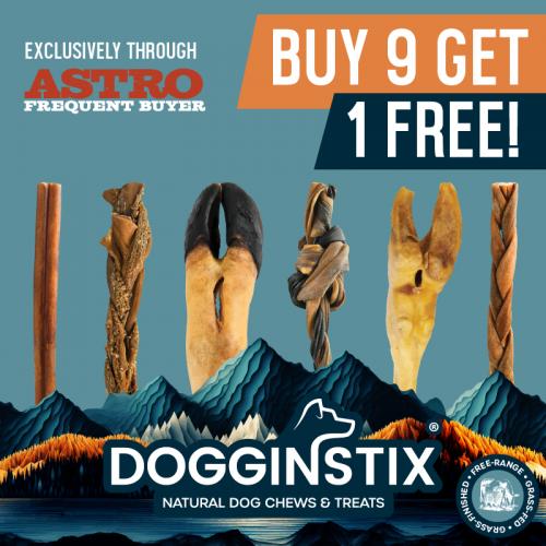 Promotion Image