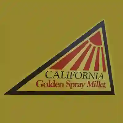 Image Alternative Text