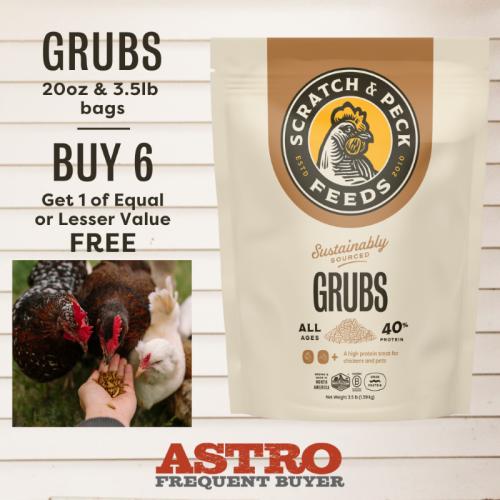 Promotion Image