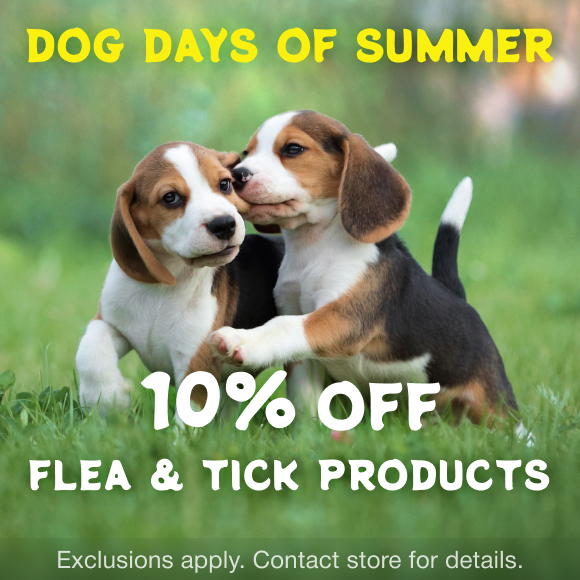 Promotion Image