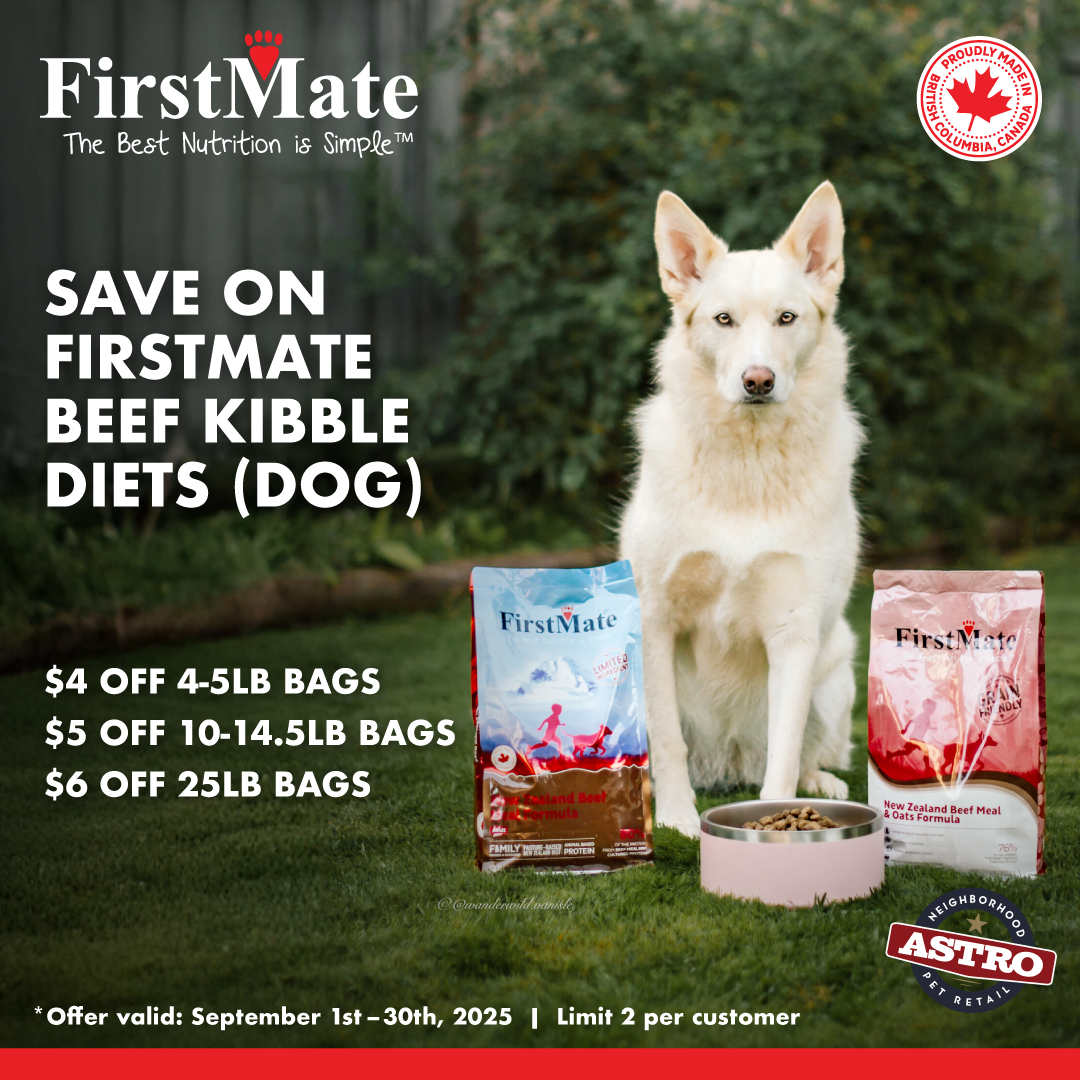 Promotion Image