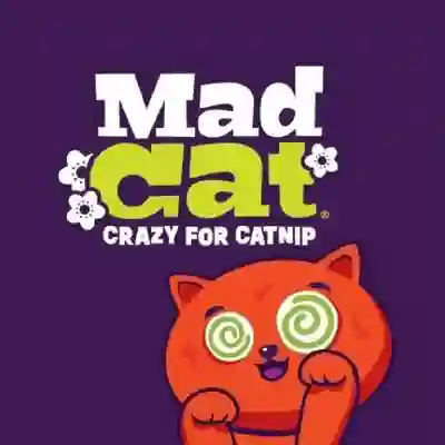 Image Alternative Text