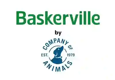 Image Alternative Text