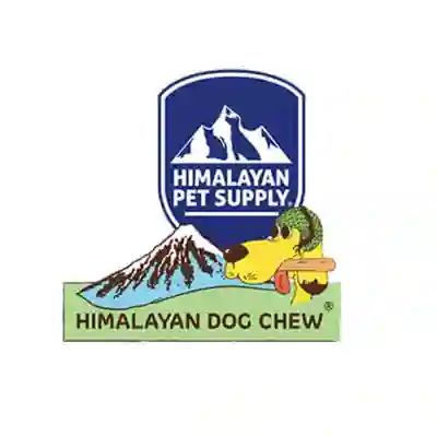 Image Alternative Text