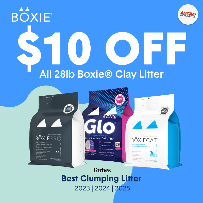 Promotion Image