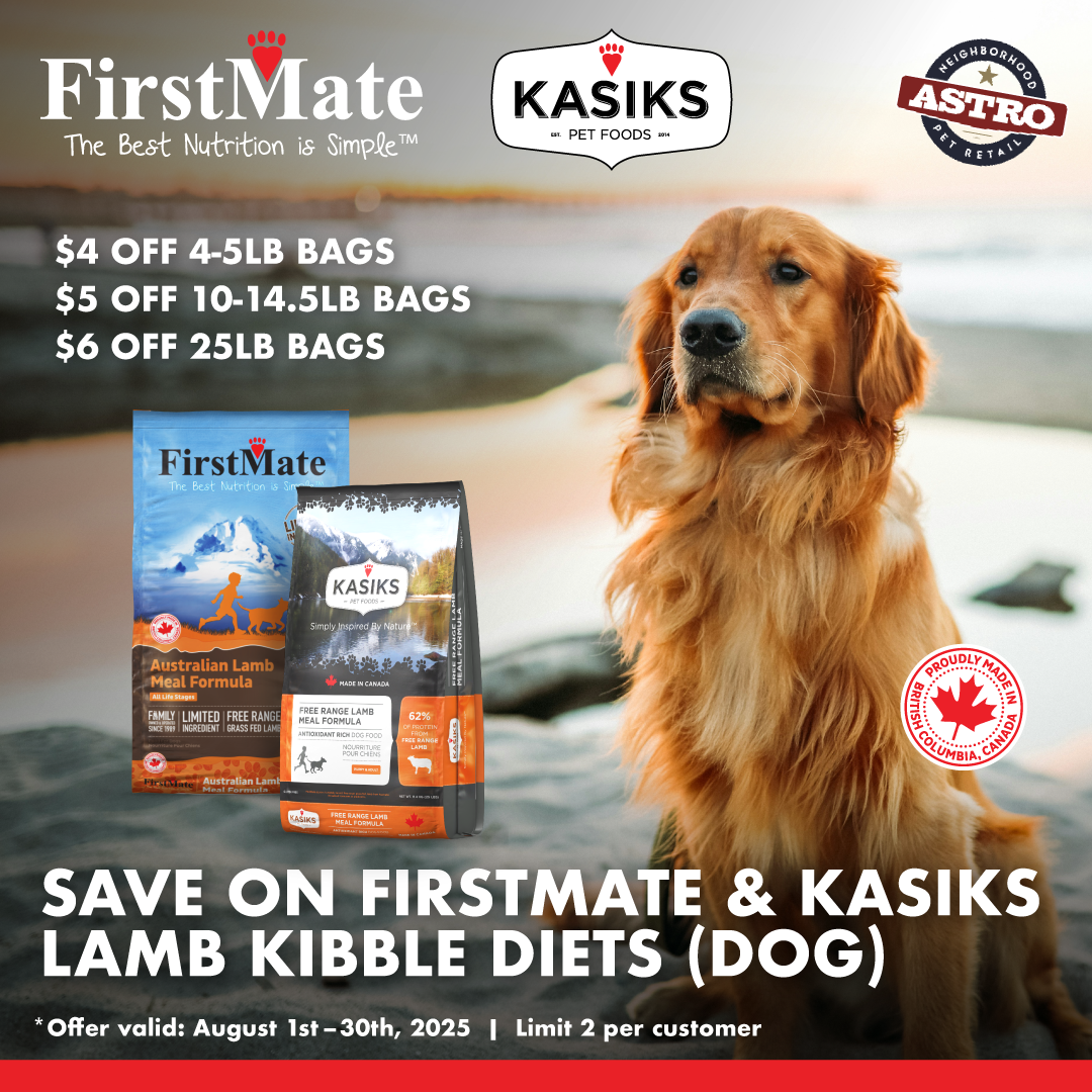 Promotion Image
