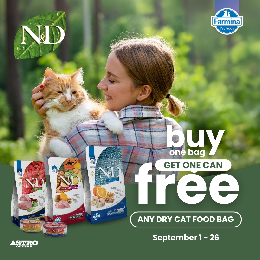 Promotion Image