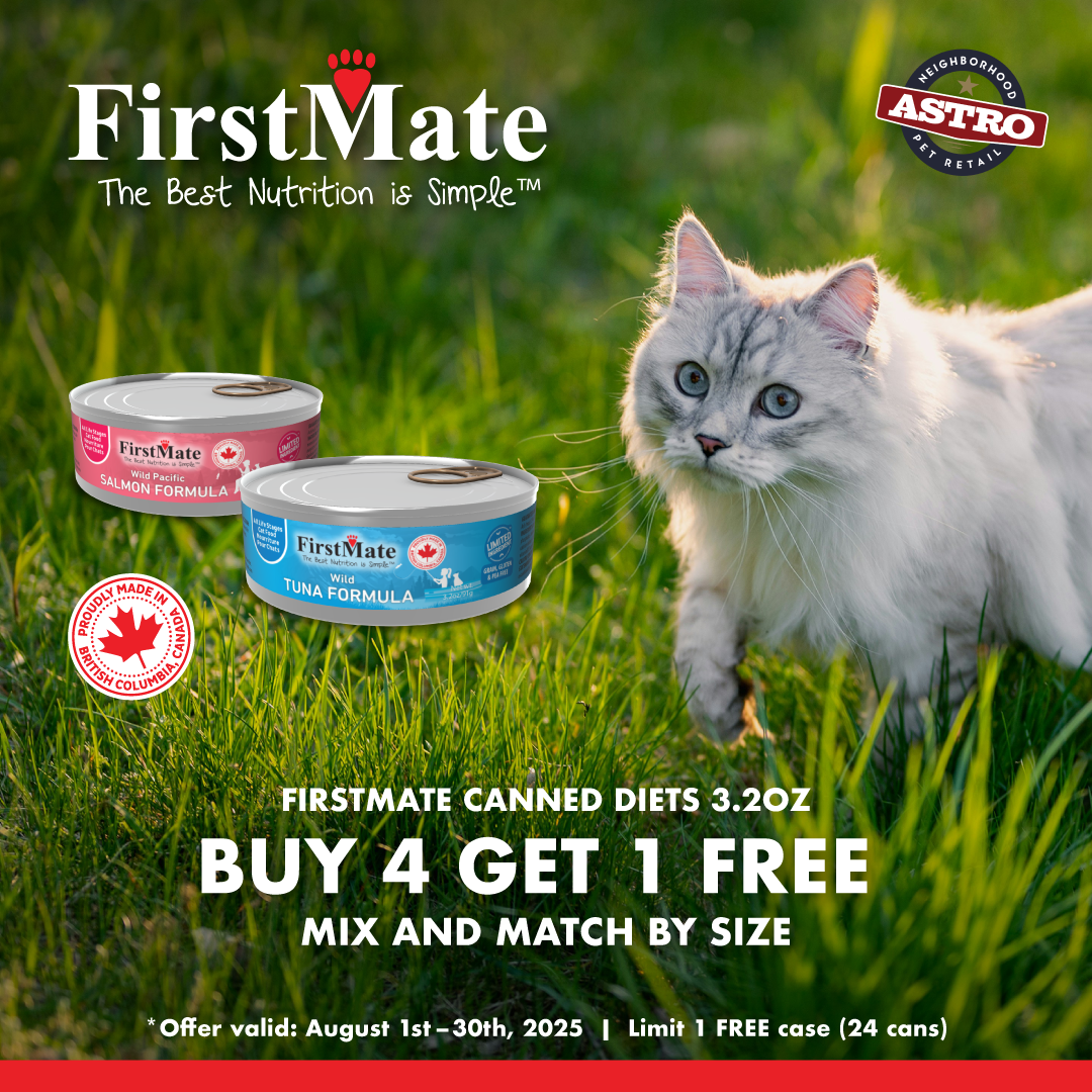 Promotion Image