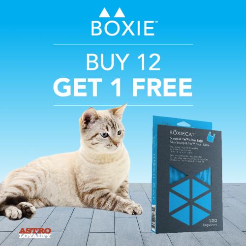Promotion Image