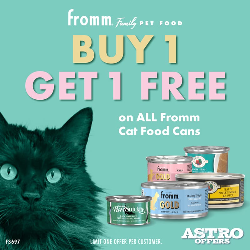 Promotion Image