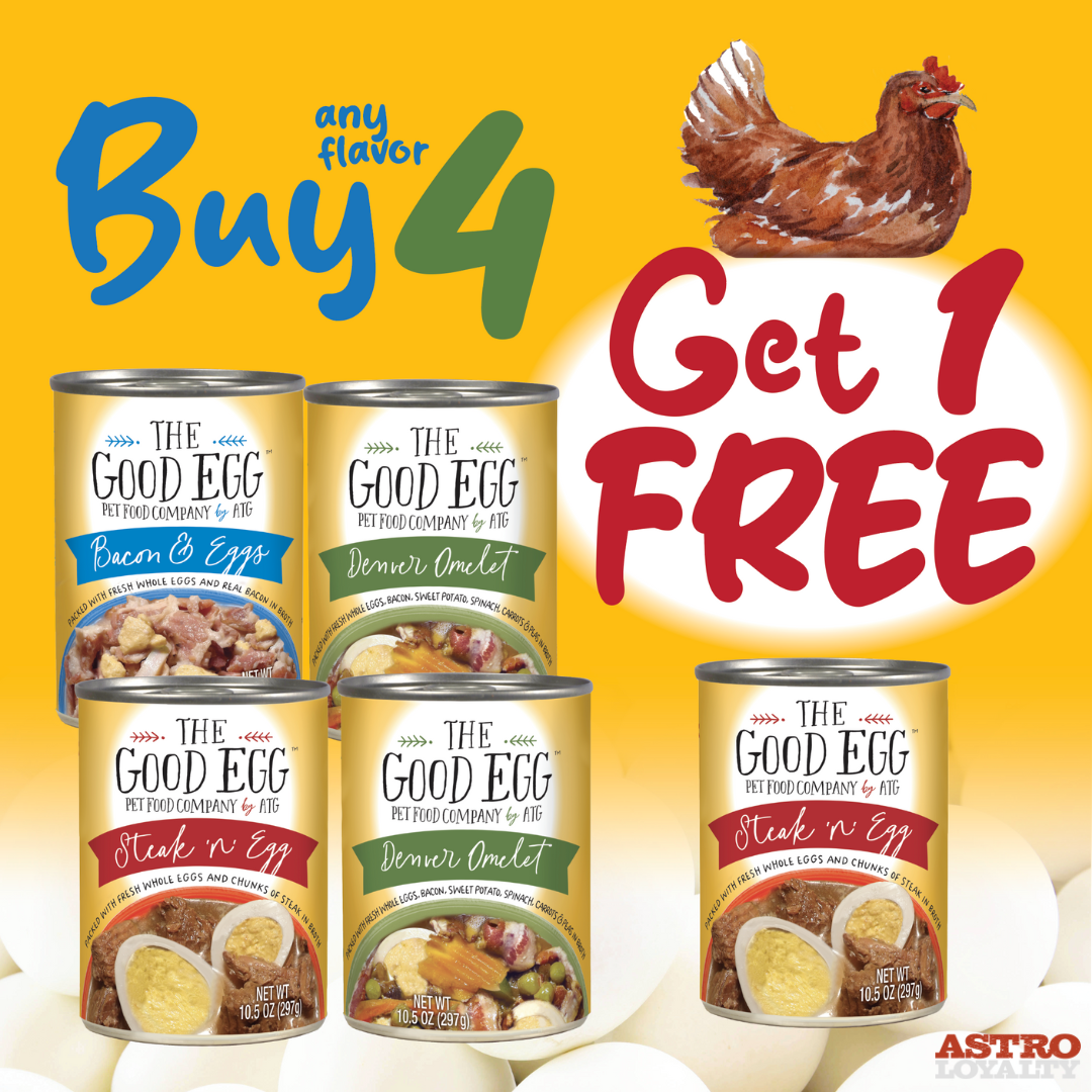 Promotion Image