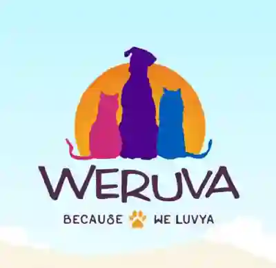 Image Alternative Text
