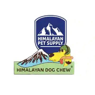 Image Alternative Text