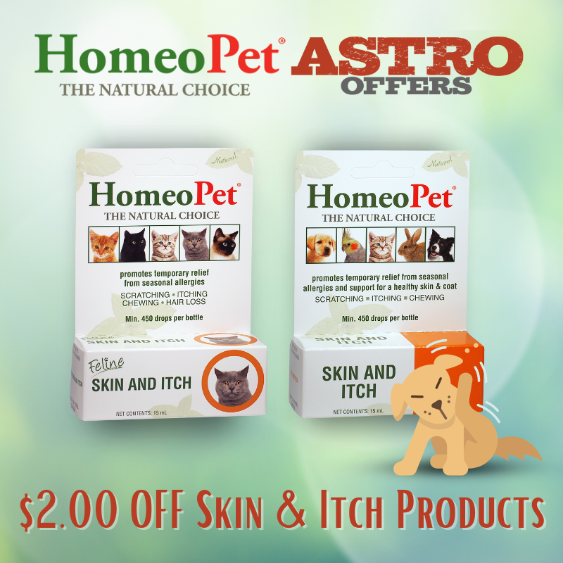 Promotion Image