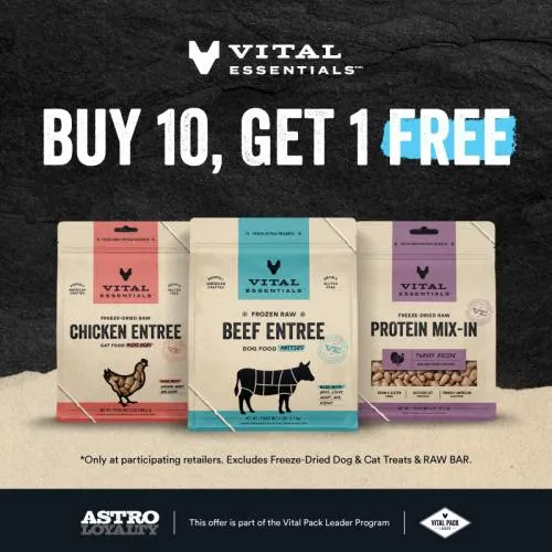 Promotion Image