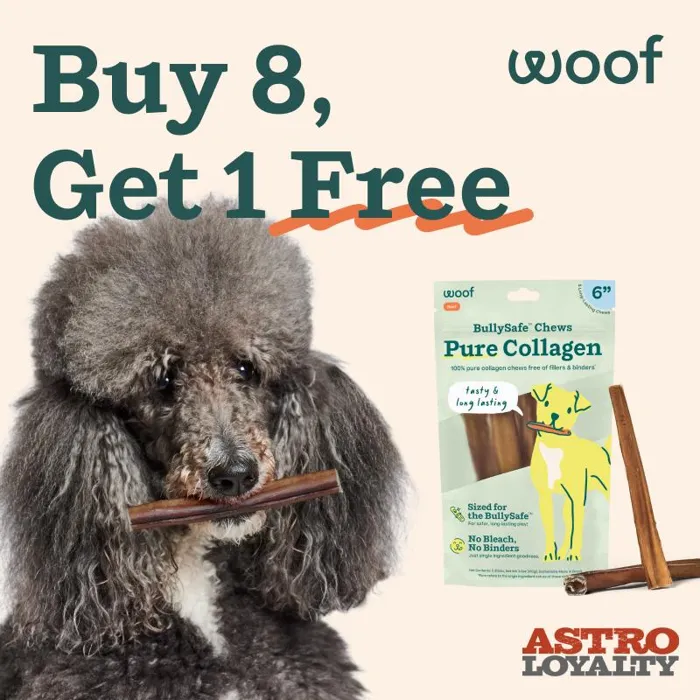 Promotion Image
