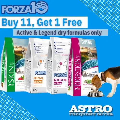 Promotion Image
